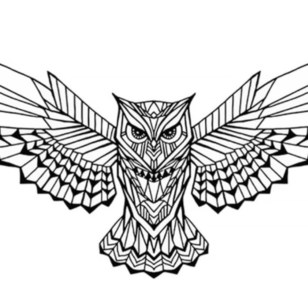 Tattoo Tech, 2 Sheets Medium Semi Permanent Tattoo Owl Design